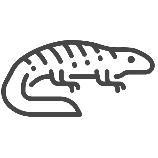 Reptile (lizard or snake)