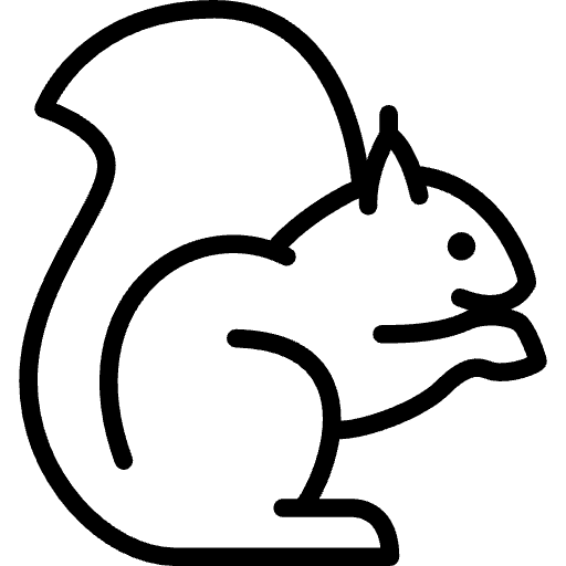 Mammal (squirrel)
